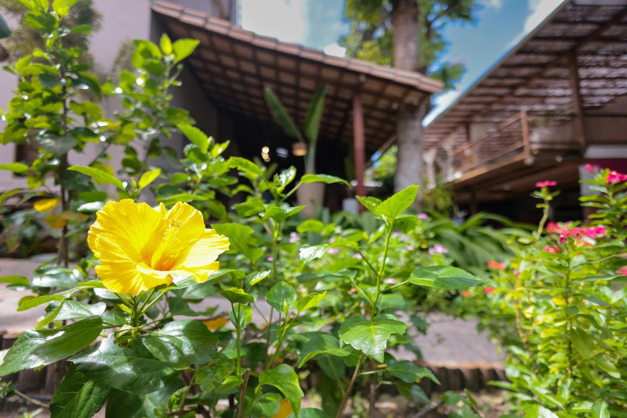 Coqueiros
